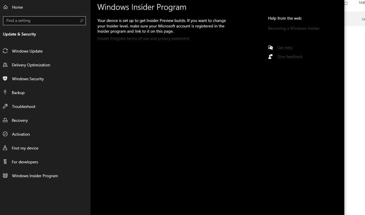 Windows Insider program isn't showing the buttons a46babba-097b-4bab-a6b4-60e45386d76a?upload=true.png