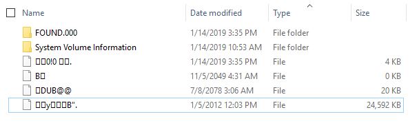 Corrupt thumb drive - files with special characters can't be removed a5d0125e-36bf-4495-8efd-4d7a014912bc?upload=true.jpg