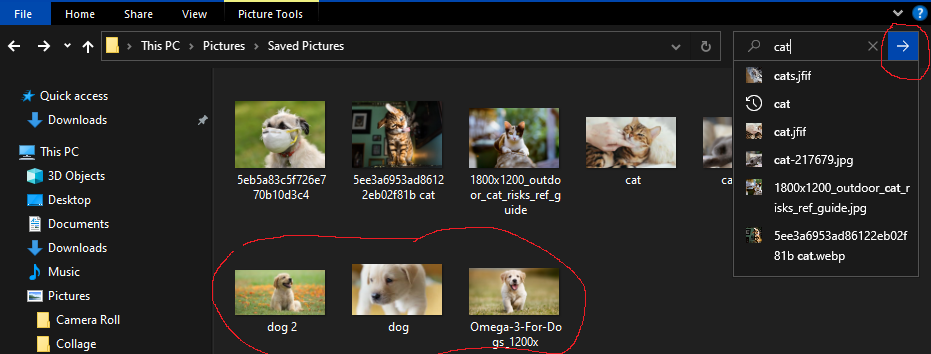 Folder Explorer Search Bar a5f7d72d-b5ab-4172-83dc-2ca52ff7cbe9?upload=true.png
