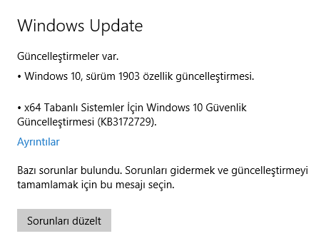 Windows 10 Güncellestirme Sorunları BIOS - sürüm 1903 a83637bc-fb9e-445f-ac8d-4f87bd903566?upload=true.png