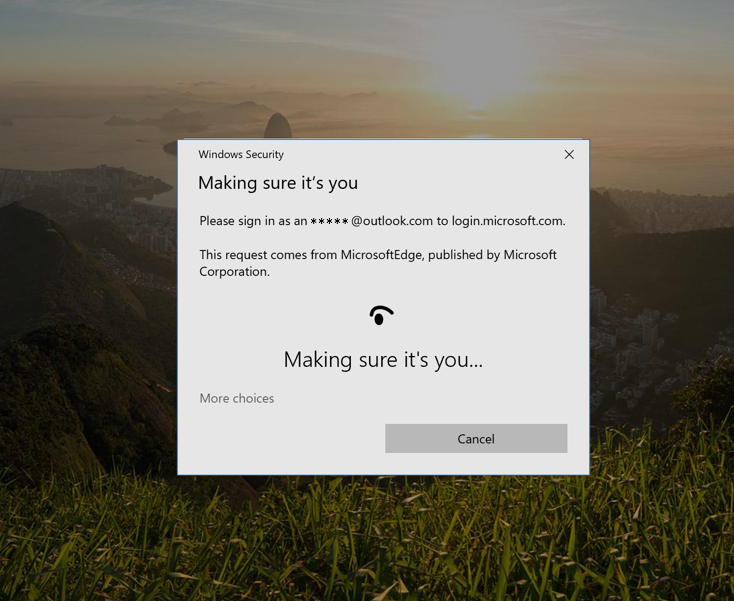 Passwordless FIDO2 verification on Android for Google Accounts Advancing-Windows-10-as-a-passwordless-platform-5.png