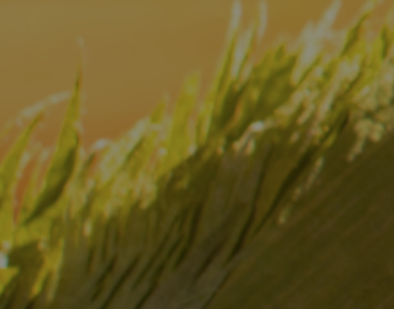 After Hiding Admin User Account from Login Screen, no modifications can be made to system AF953.png