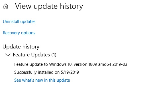 Feature 1809 Update installed via Windows Update af9c7b36-26c8-47a3-bf3d-1e99cc7b93f5?upload=true.jpg
