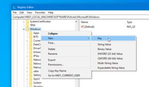 How to allow direct access to Removable Storage in Remote Sessions on Windows 10 allow-direct-access-to-removable-storage-in-remote-sessions-300x175.jpg