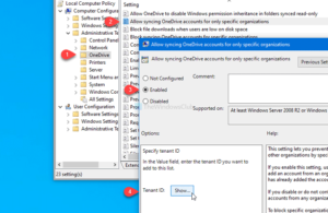 How to Allow or block syncing OneDrive accounts for specific organizations allow-or-block-syncing-onedrive-accounts-for-specific-organizations-300x195.png