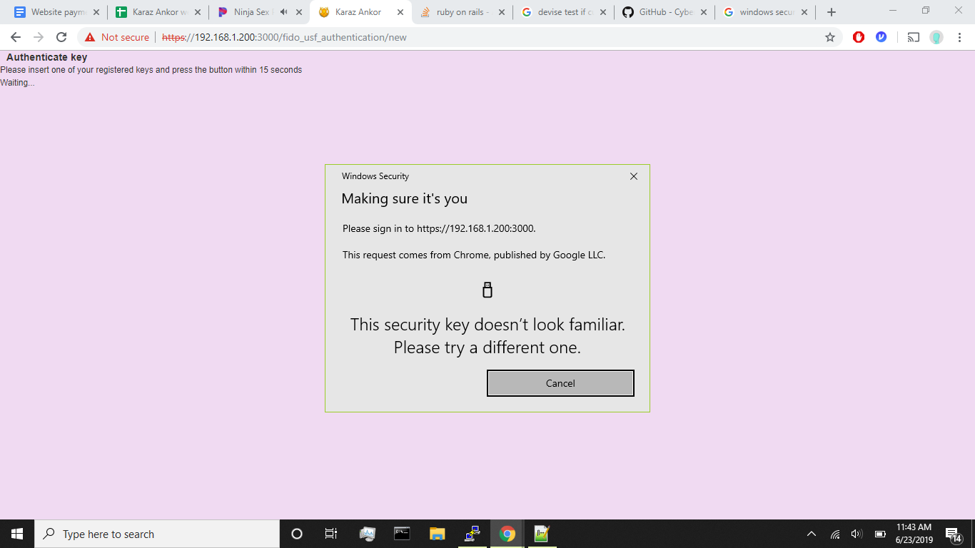 Windows Security pop up for YubiKey authentication on local webserver b16a586d-27d2-455a-96aa-08b70b7ed86e?upload=true.png