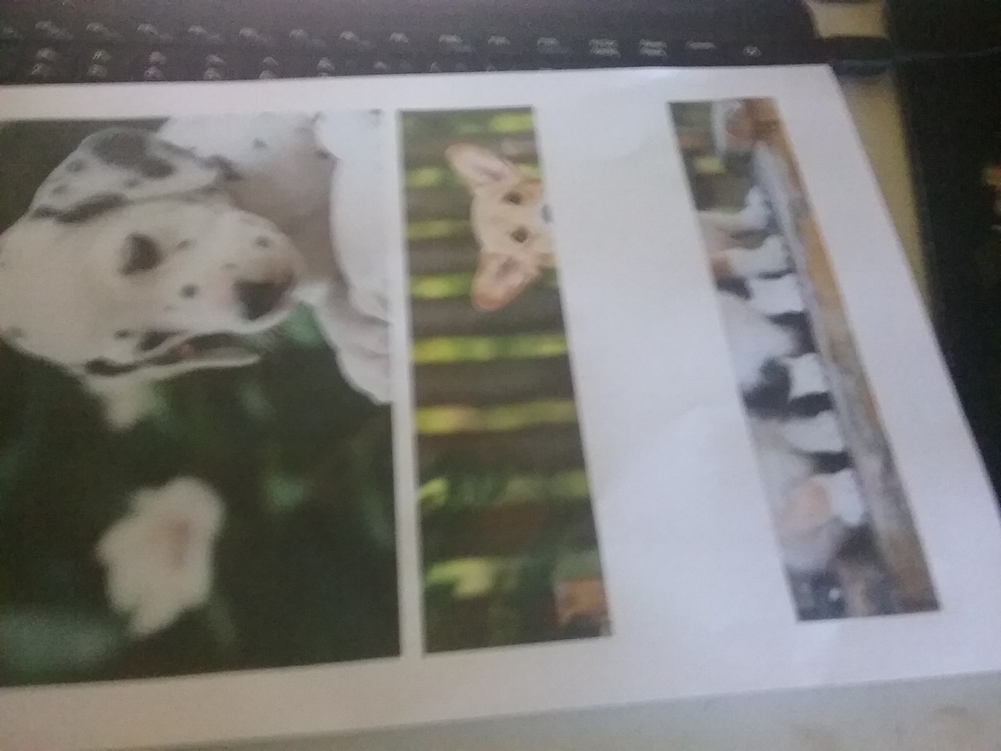 my printer wont print correctly b1b6c0e2-cde5-42a4-8b5d-590b7696835c?upload=true.jpg