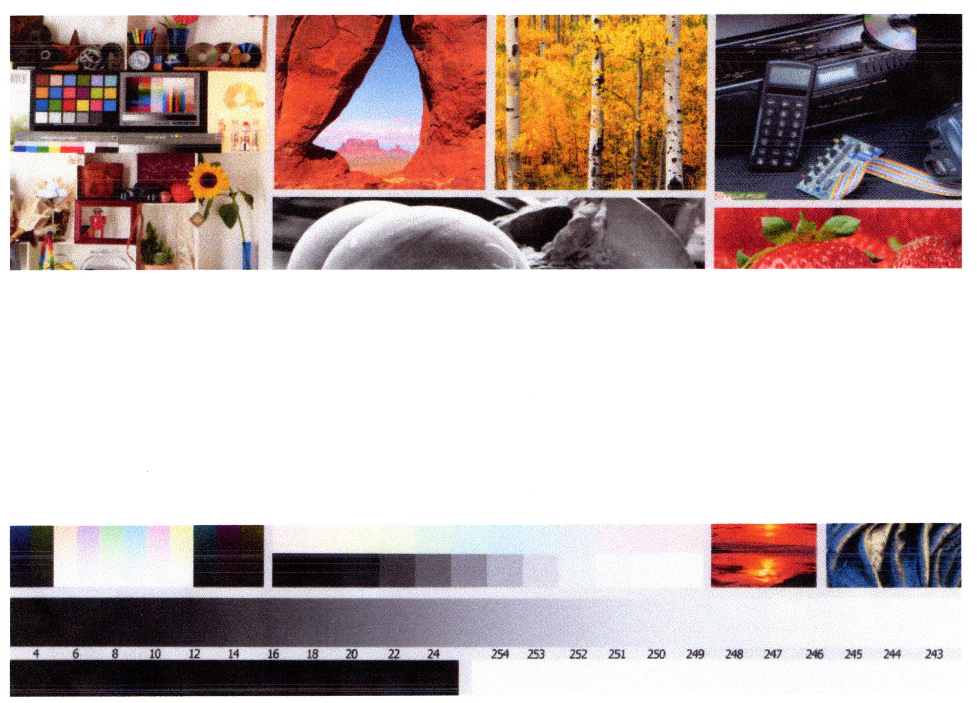 Printing issue with Print Pictures Wizard after accidently deleting picture while it was... b55c6a44-8e48-412b-812c-e72fbb5a2ab0?upload=true.jpg