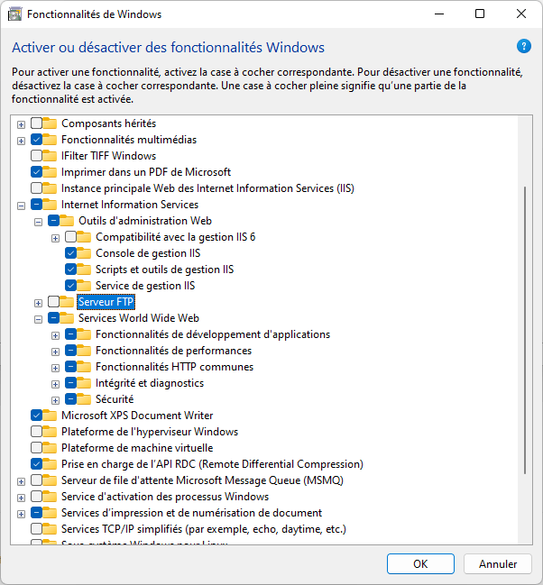 Cannot open IIS Manager Windows 11 b57f006b-1c69-42a9-8521-231d7058ed01?upload=true.png