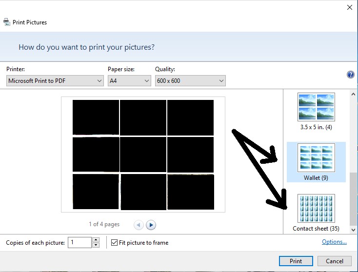 What are the sizes of pictures in Wallet size and Contact Sheet print options? b5c6b098-577b-402c-b444-bc62f191bd6c?upload=true.jpg