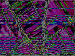 BSOD with distorted colors b5dd2e56-7b15-43f1-967b-3ddbaffc147b?upload=true.png