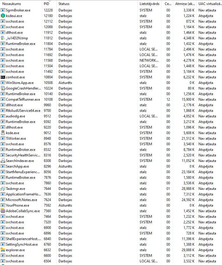 Full task meneger with svchost.exe and other s... b738c5fa-cb27-4b7f-8220-b1a8fdac0c59?upload=true.png
