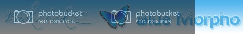 Mysterious blank blue window when I log on banner%20blue%20morpho_zps7y9qbqq4.jpg