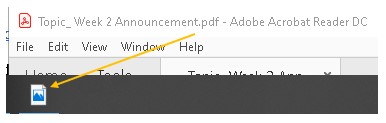 Windows 10 photo viewer icon showing for PDF bbbac1ef-c318-4d4d-8bc8-02d5b90713c4?upload=true.jpg