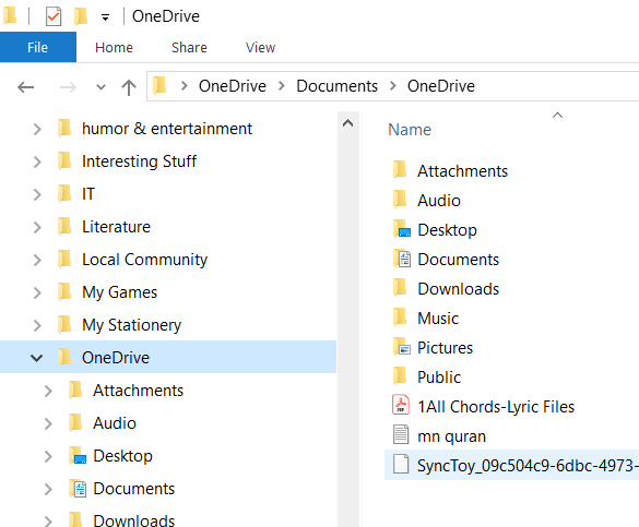 OneDrive subfolder within My Documents folder with same files again. bcc66b45-0816-469f-930a-b657e95bc363?upload=true.png