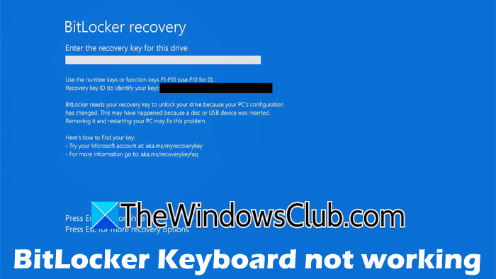 BitLocker Keyboard not working in Windows 11 [Fix] BitLocker-Keyboard-not-working.png
