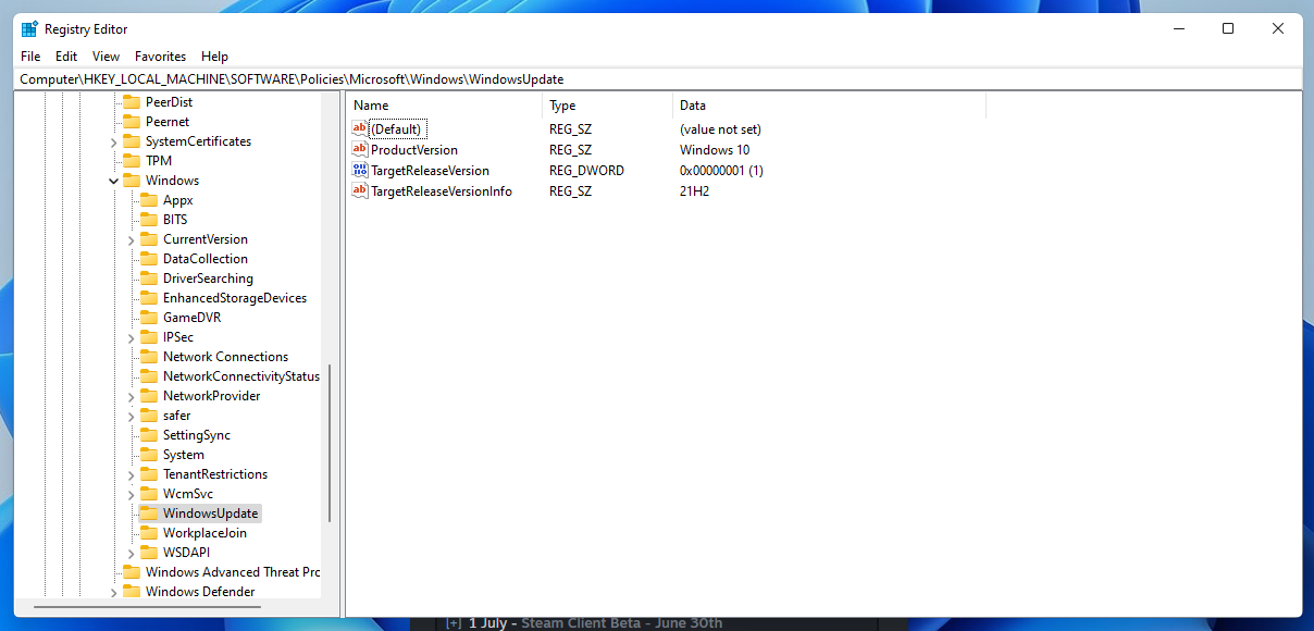 How to block the Windows 11 update block-windows-11-upgrade-registry.png