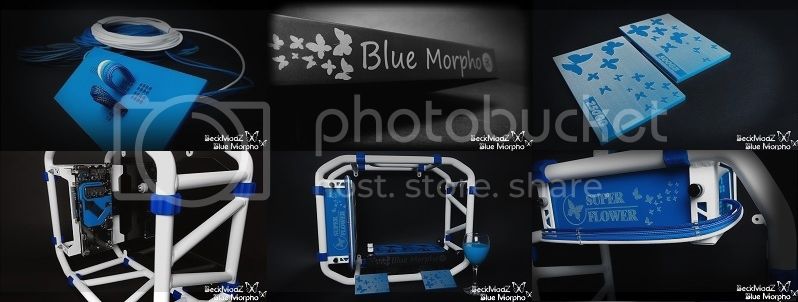 internet gets disconnected while plug in Morpho device blue%20%20morpho%20cover2_zpslok7jsnu.jpg