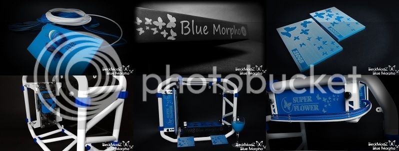 morpho device not connected blue%20%20morpho%20cover2_zpslok7jsnu.jpg
