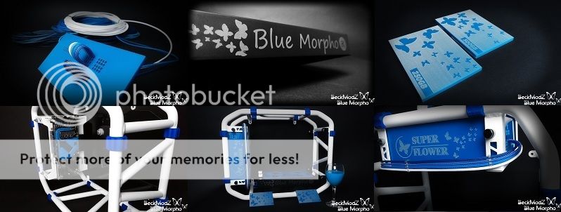 not conect morpho blue%20%20morpho%20cover2_zpslok7jsnu.jpg