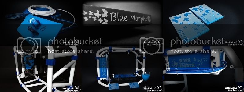 Mysterious blank blue window when I log on blue%20%20morpho%20cover2_zpslok7jsnu.jpg