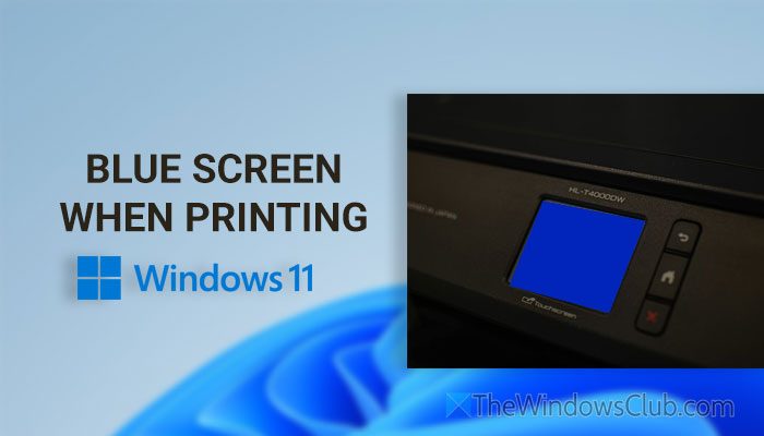 Blue Screen on Printer when printing on Windows 11 blue-screen-when-printing.jpg