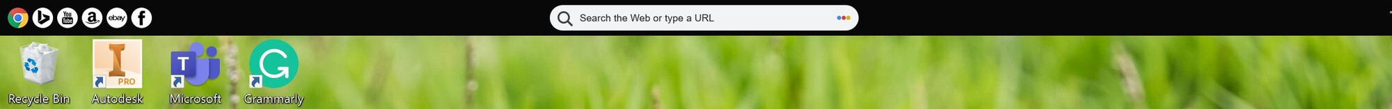 Weird Search Bar at the Top Of The Screen c1497720-81cb-4835-851e-bac29dc12969?upload=true.jpg