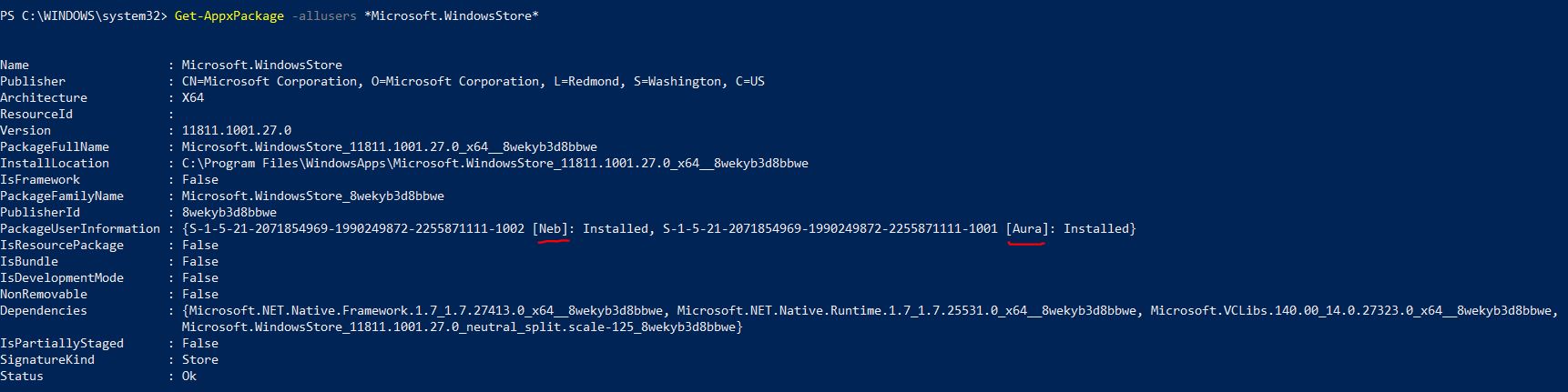 Windows Store is missing - Windows Debloater script c21b1d48-df63-49c9-9fee-19e53d4a7728?upload=true.jpg