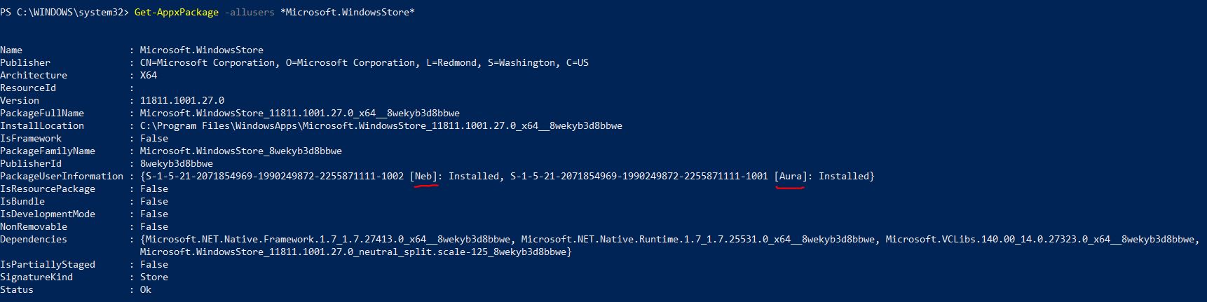 Windows Store is missing - Windows Debloater script c21b1d48-df63-49c9-9fee-19e53d4a7728?upload=true.jpg
