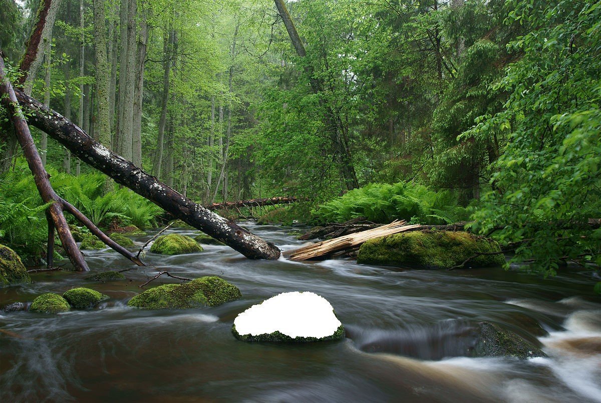 Paint 3d Smart Background Fill Not Working c421d2ff-c99e-471a-9702-71020e762a28?upload=true.jpg