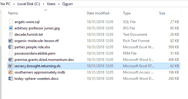Randomly generated hidden folders in the Users directory. c4fefd68-d8e5-4347-9678-9887fe093638?upload=true.png