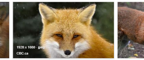 Help downloading images from microsoft edge c66e10d3-9220-44fa-a5f3-a35d19b50f0a?upload=true.png
