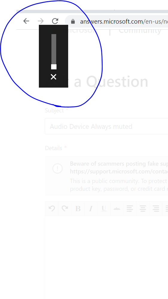 Audio Device Always muted c67fd04d-b8c2-4f7b-a0cb-3e4d52b140c2?upload=true.png