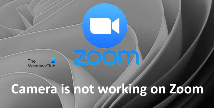 Camera not working on Zoom in Windows 11/10 Camera-is-not-working-on-Zoom.png