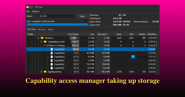 Capability Access Manager taking up storage in Windows 11 Capability-access-manager-taking-up-storage.png
