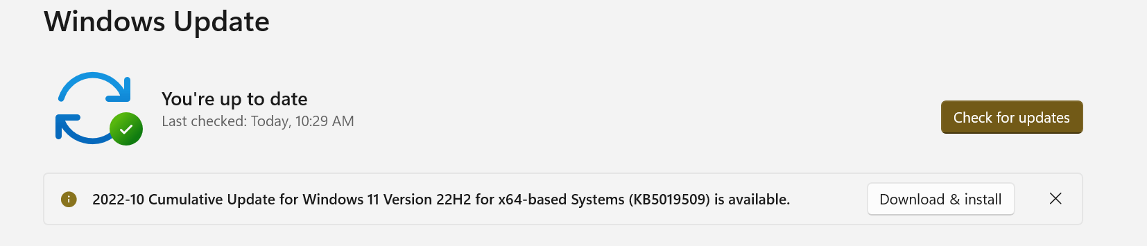 Windows 11 Pro Update Oct 18, 2022, created problems ccadfa3d-4a91-4aa2-a4ae-a67d49a5b4d9?upload=true.png
