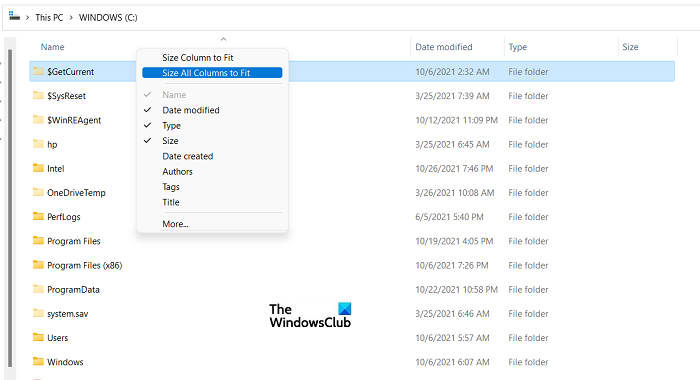How to change the Column Width size of File Explorer in Windows 11/10 change-column-width-size-1.png