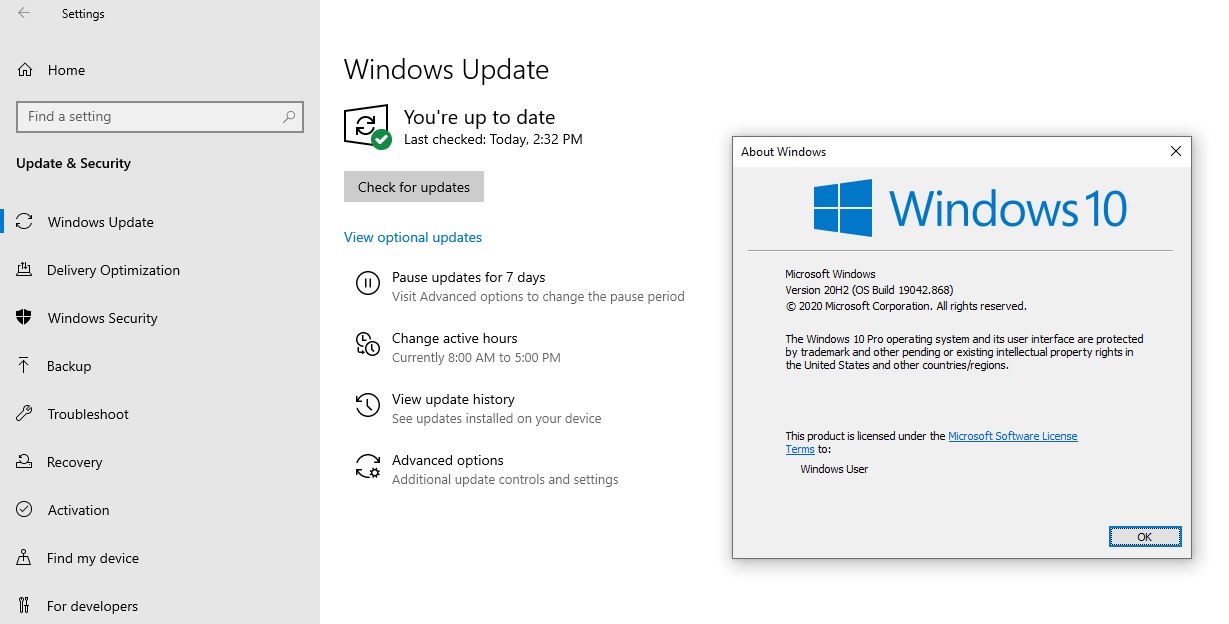 Microsoft hits the brake on Windows 10’s latest update after new issues Check-for-updates.jpg