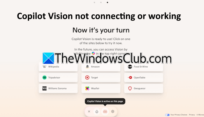 Copilot Vision not connecting or working Copilot-Vision-not-connecting-or-working.png