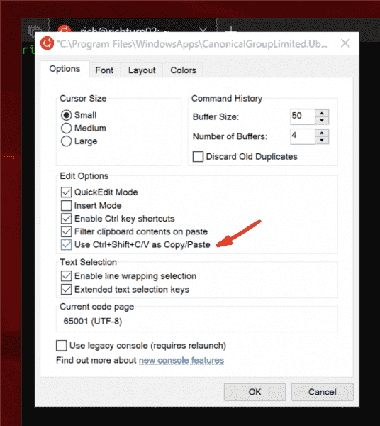 New for Windows Subsystem for Linux in Windows 10 October 2018 Update copy-paste-536x600.png