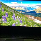 Can’t log into my computer. Wow. All I did was try to restart computer and this happens...... cqeVJSlro6GA0vQjFK-OUFAr8vRMavSomQi7GR3Vfc8.jpg