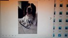 Uploaded my phone photos onto my computer. CzhrYBa9z4JxIogA7nWUtd8vMVtYHQDTiLYtVhE1WrA.jpg