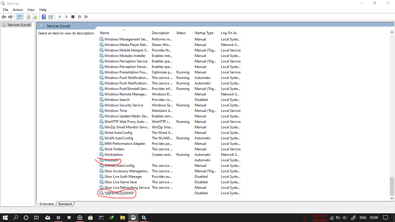 Why i could not see my windows 10 update services.And what is this YjBjNDNkZjVjNWI0. d20f622c-4c09-4d0a-a733-41d3c73daf1a?upload=true.png