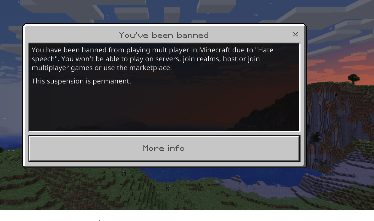 Can you Unban me on The Hive In Minecraft d53324e4-6223-448e-b103-5ff0a441a651?upload=true.png