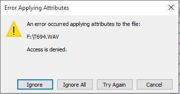 Windows 10 must have corrupted files on my CF card d62a9239-3250-4bf2-9a3c-15d6a7e93862.jpg