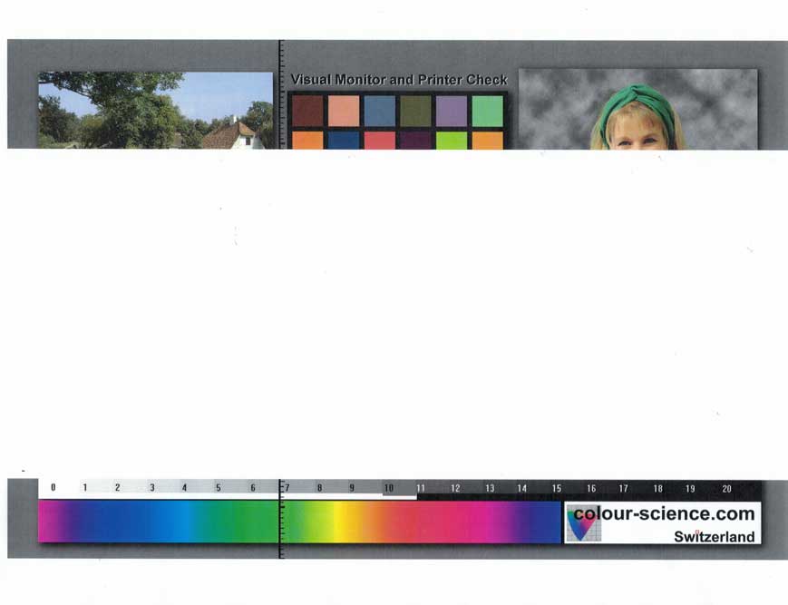 Printer missing middle of image d6befdfc-2526-4247-88eb-6c68758de5fc?upload=true.jpg