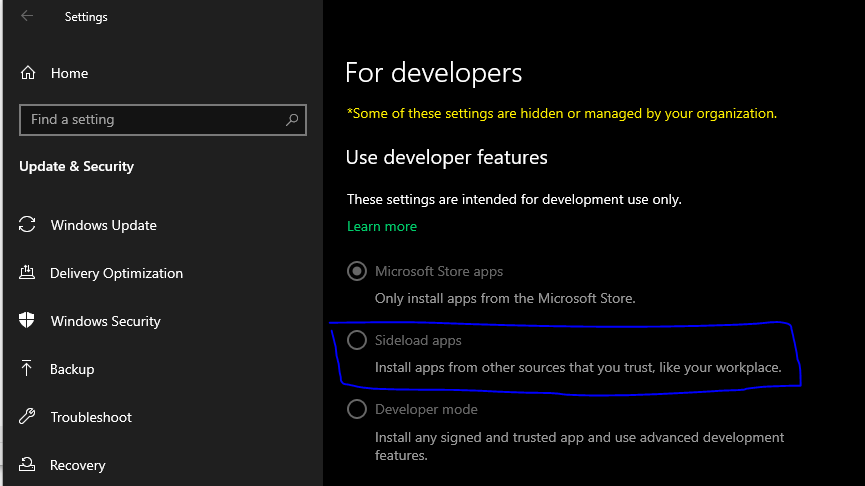 Sideload apps option not visible. d8e92f12-5c8f-46e6-ac99-e9b9f26af2d5?upload=true.png