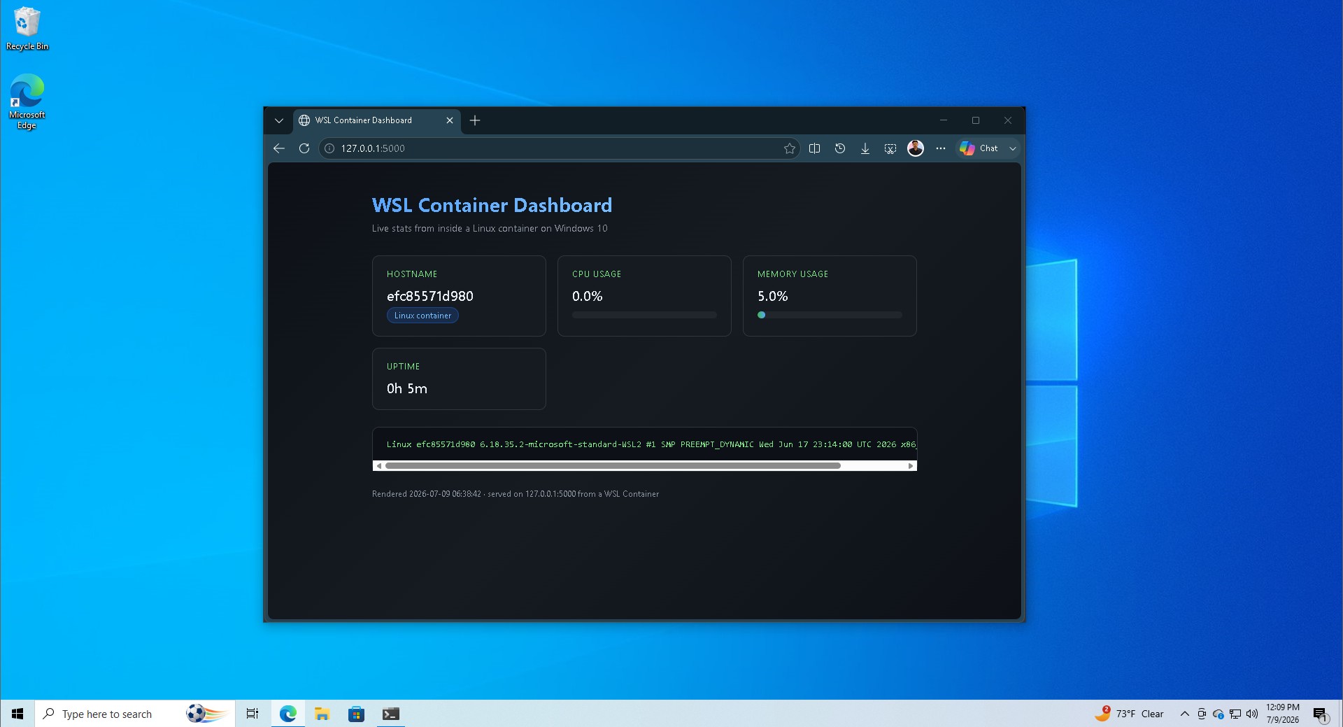 Windows 10 is still getting Windows 11 features, but it’s only for developers Dashboard-made-with-WSL-Container.jpg