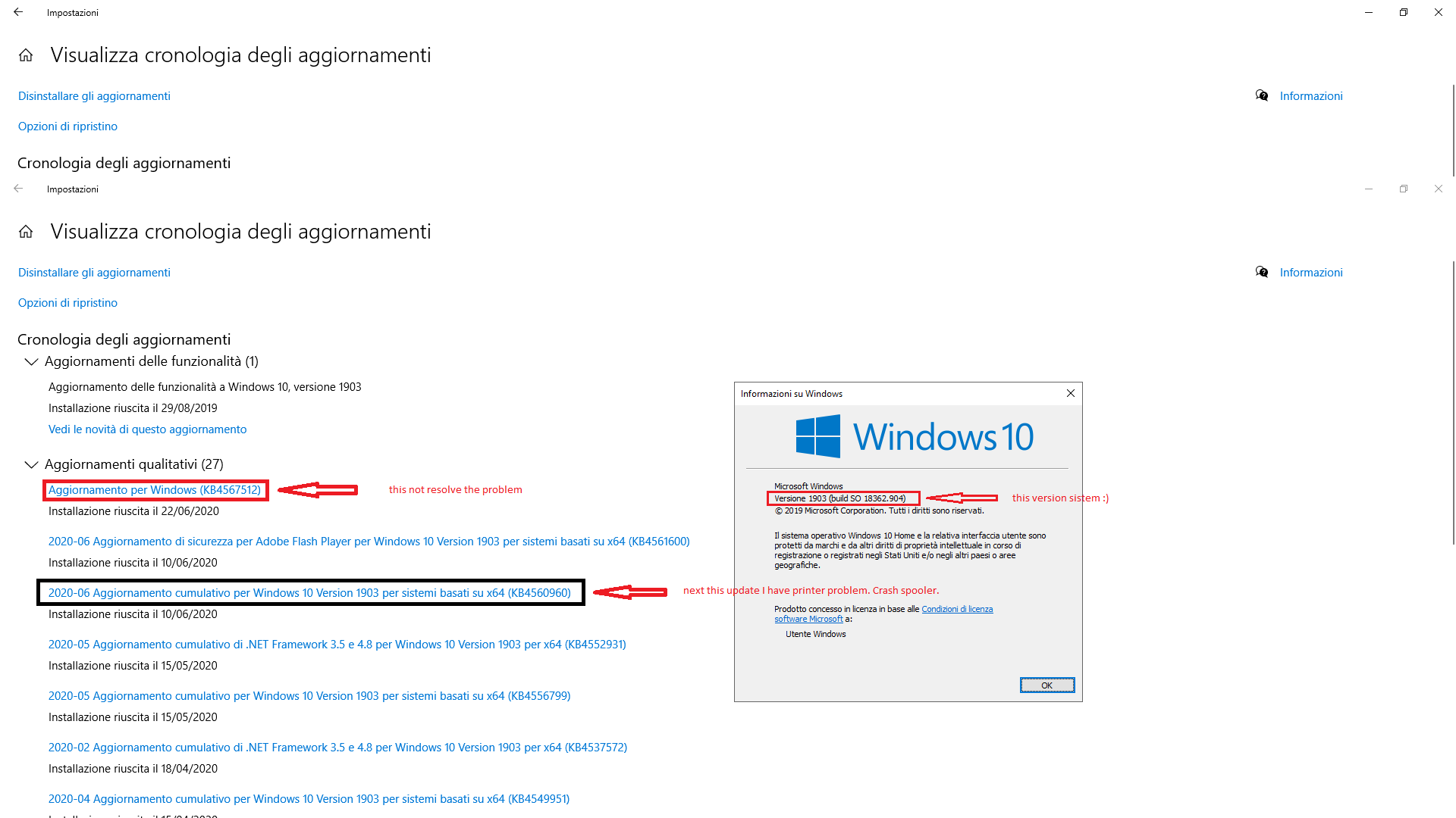 Spooler Error Printer FROM KB4560960 TO kb4567512 db5fb70c-c81c-43ec-a3f6-e6ee599ea3b6?upload=true.png