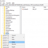 Error 50, DISM does not support servicing Windows PE with the online option Delete-Windows-PE-Key-from-Registry-100x100.png